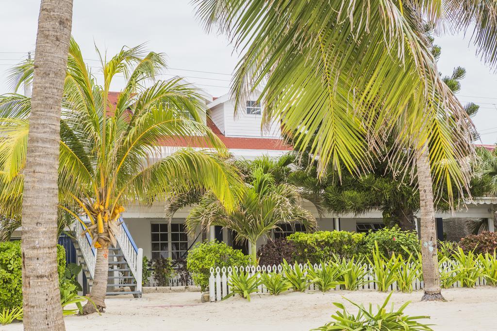 Casa Brisa Guest House San Pedro  Esterno foto
